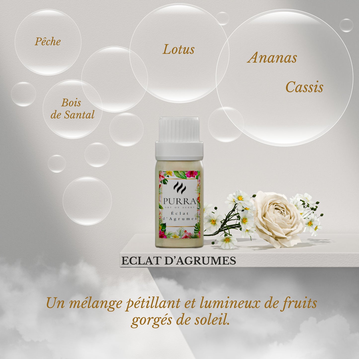 Pack de 6 recharges 10ml