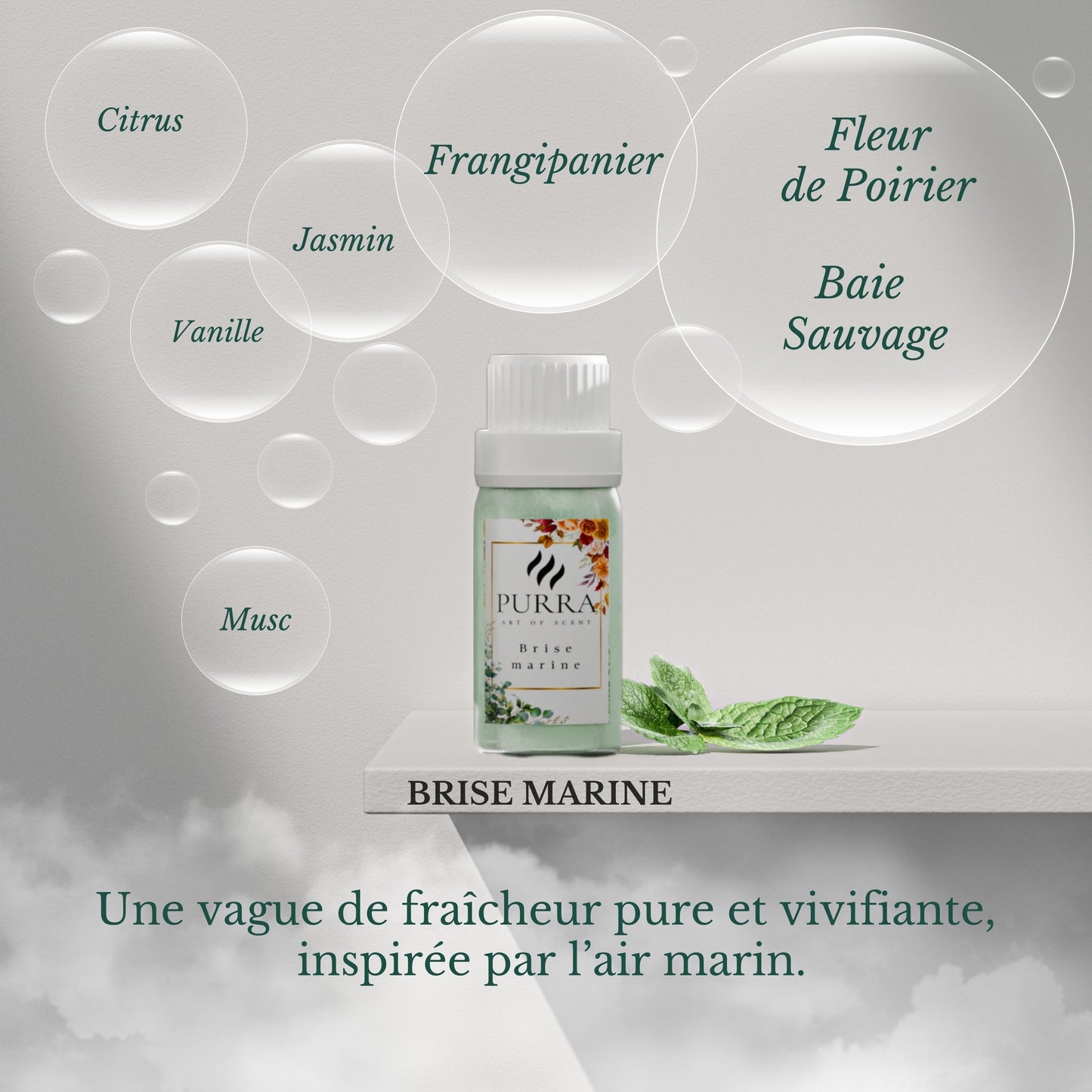 Pack de 6 recharges 10ml