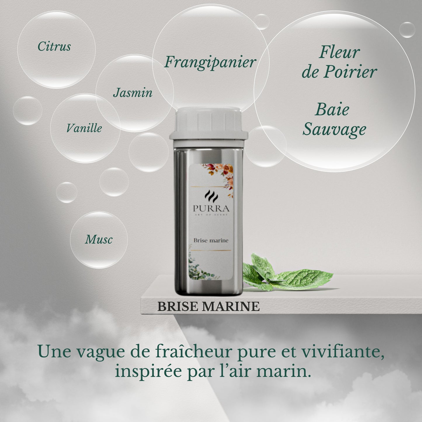Recharges 100ml