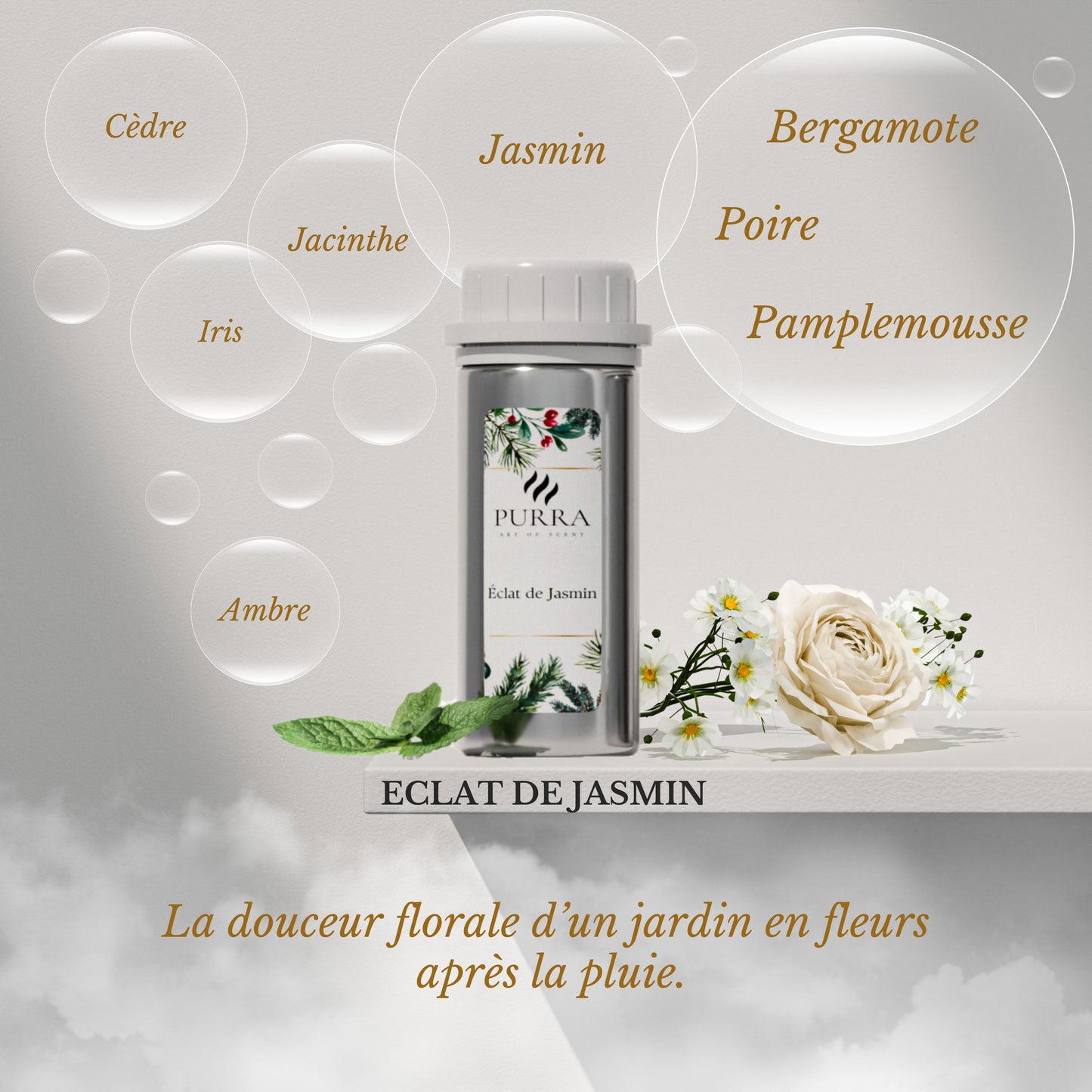 Recharges 100ml