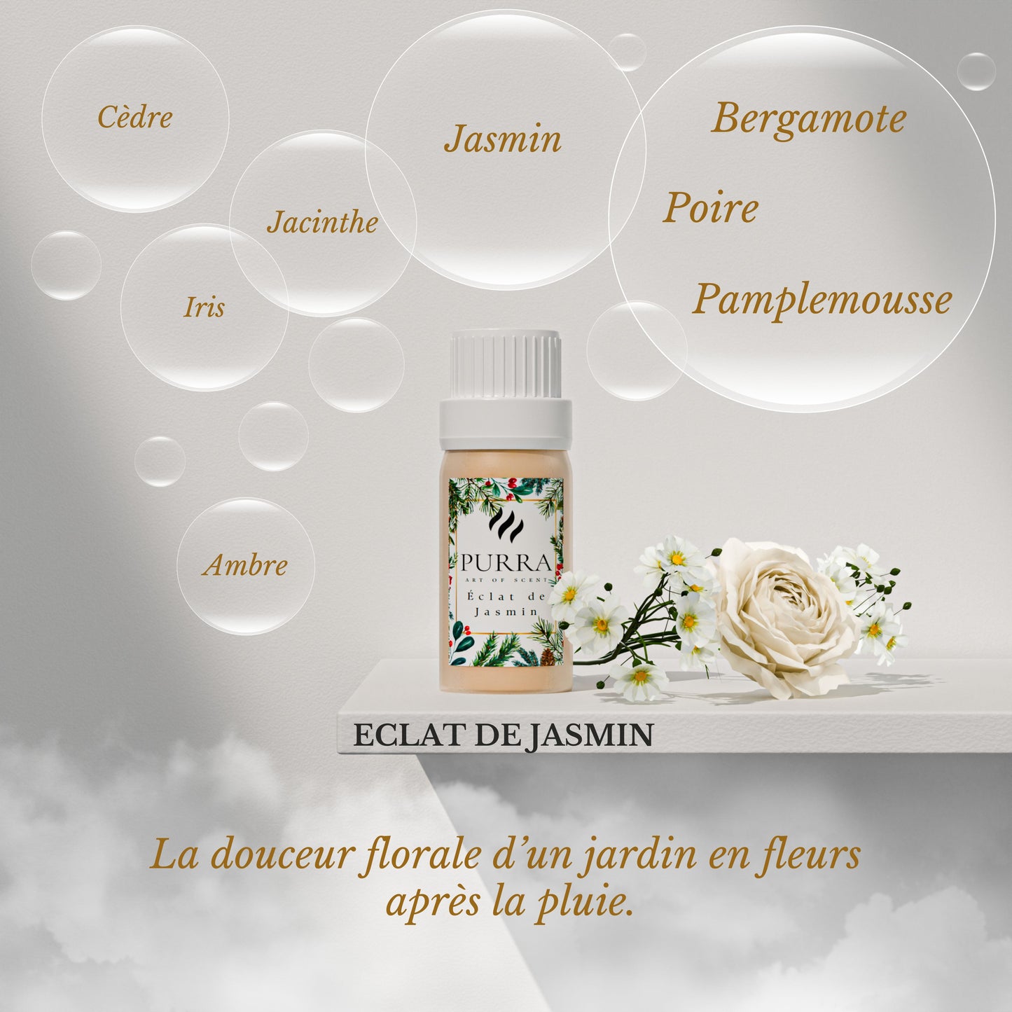 Pack de 6 recharges 10ml