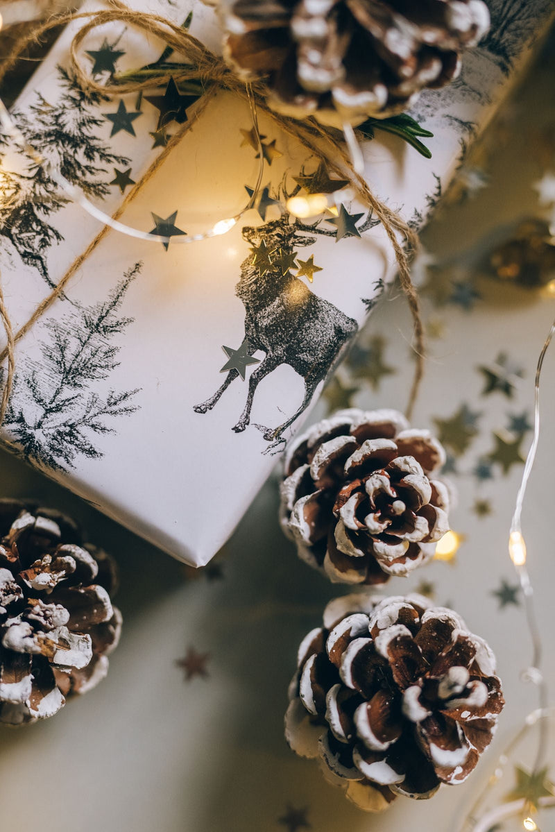 Cadeaux de Noël emballés près d'une guirlande lumineuse, idée de cadeau de Noël pour homme à 100 euros