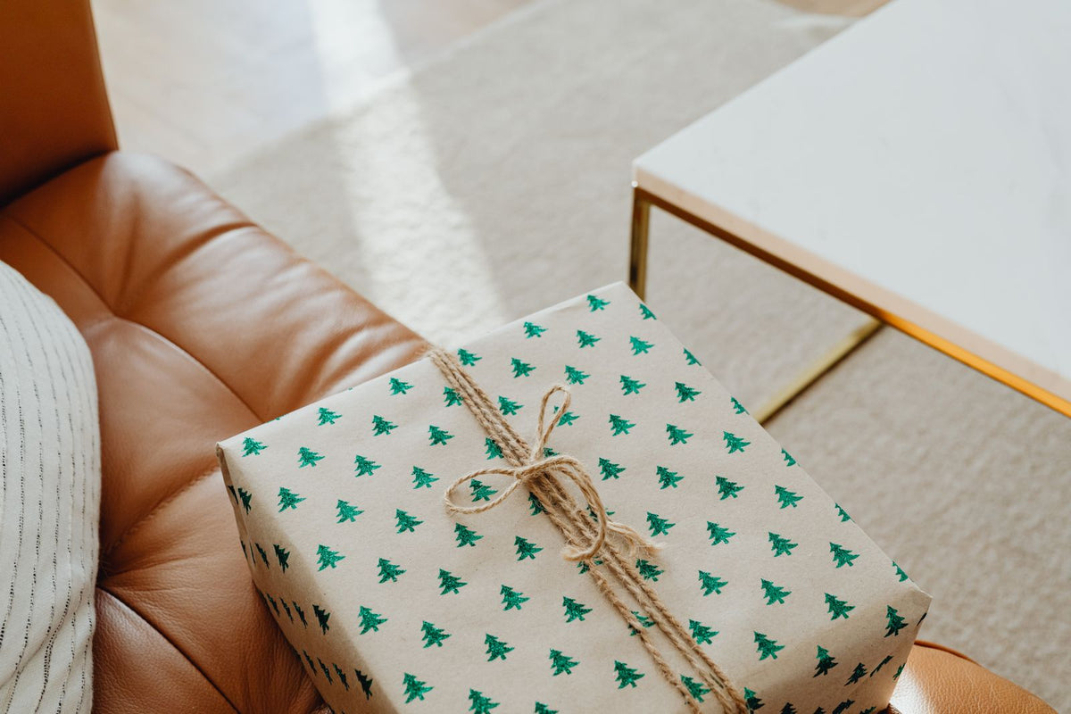 Cadeau de Noel pour un petit appartement pose sur l accoudoir d un fauteuil en cuir