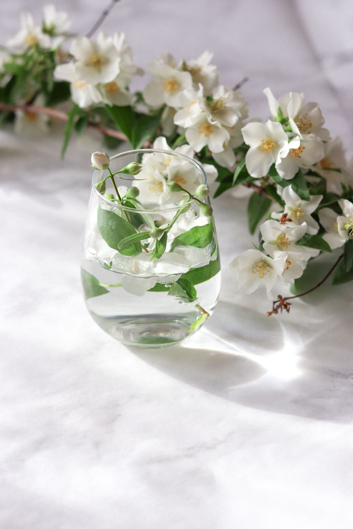 Bouquet de jasmin blanc sur un plateau de marbre dans un intérieur épuré, pour illustrer comment choisir son parfum d'intérieur