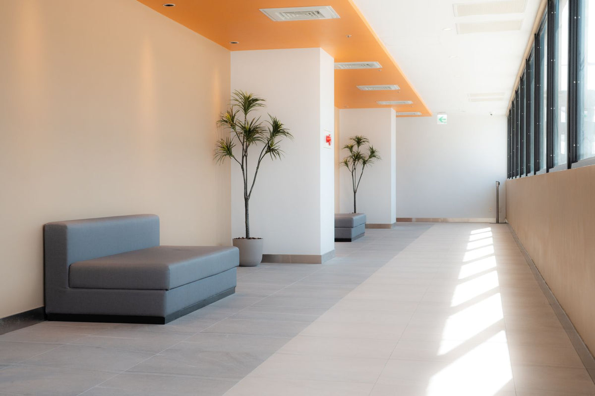 Couloir d'accueil clair et desert, banquette grise et plantes vertes sous la lumiere naturelle, le cadre type d'un diffuseur de parfum pour cabinet veterinaire