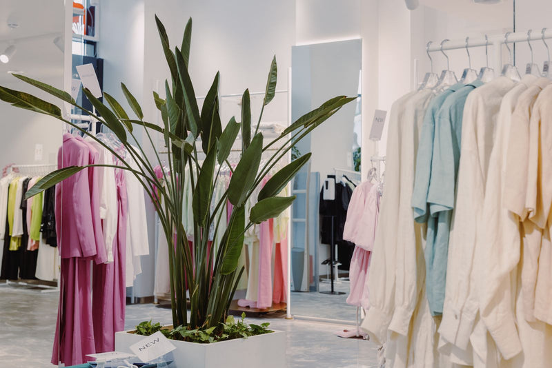 Hall d'accueil lumineux de showroom, l'emplacement d'un diffuseur de parfum sur pied