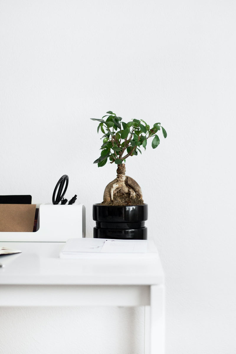 Bureau épuré et surface dégagée, illustrant l'entretien régulier pour nettoyer un diffuseur de parfum