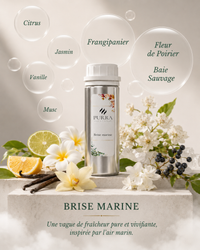 Sea Breeze