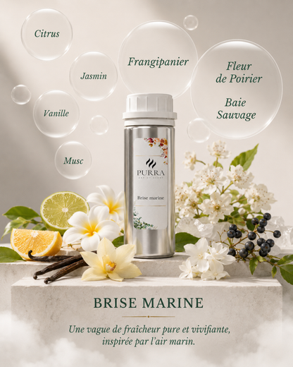 100ml refills