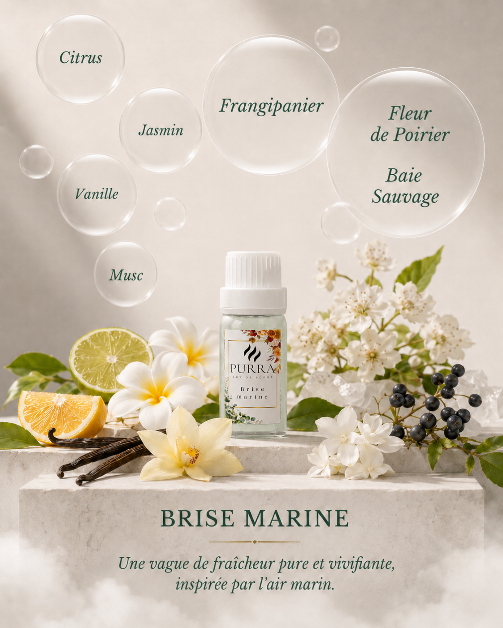 Pack Signature — 6 Recharges 10 ml · Purra C30