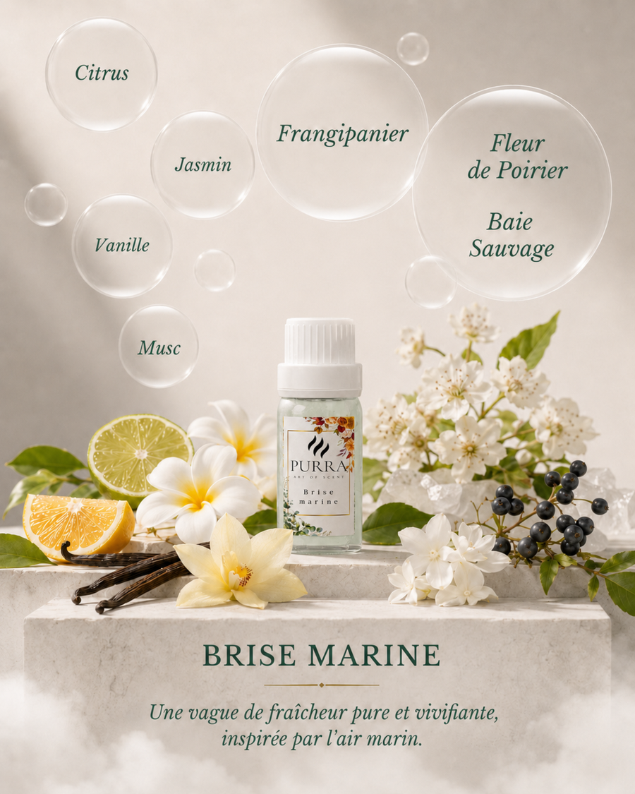 Recharge olfactive PURRA Brise Marine 10 ml et les notes de sa composition